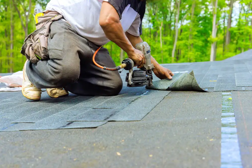 A person kneels on a roof in San Jose & Santa Clara County, CA, using a nail gun to install asphalt shingles. Wearing work clothes and a tool belt, they work efficiently with cooling shade from nearby trees in the background.